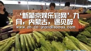 ‘新葡京娱乐官网’九月,内蒙古,遇见醉美醉好的四肢约束带(图4) 新葡京娱乐官网